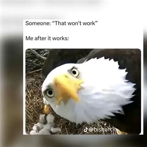 Chat Wave 的图像结果