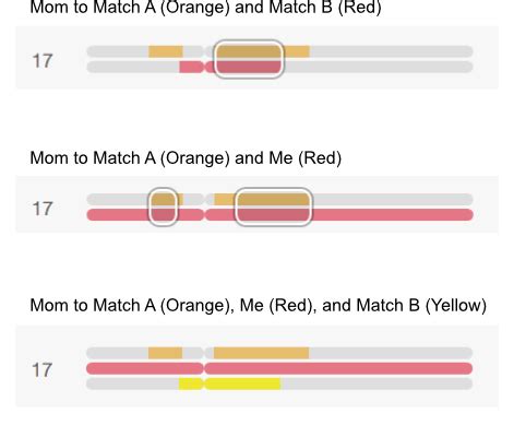 Image result for Ancestry Triangulation