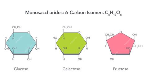 Glucose Vs Galactose Structure