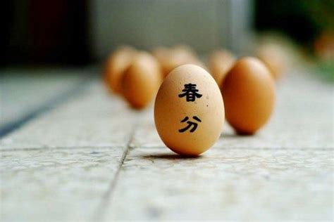 科学解释春分竖蛋，鸡蛋在任何一天都能竖起来(无聊理论) - 未解之谜网