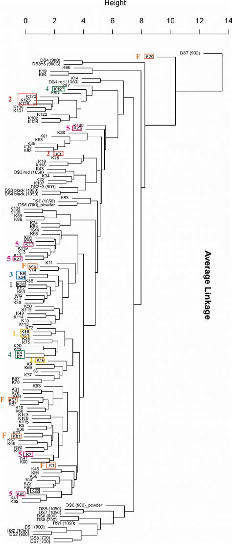 Image result for Dendrogram Linkages