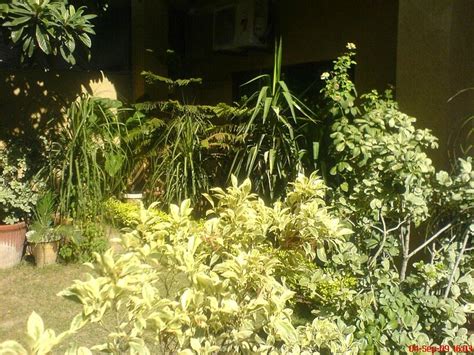 PARAMID II GUEST HOUSE (Islamabad) - Guesthouse Reviews & Photos ...