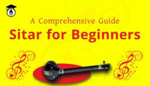 Image result for Basic Sitar