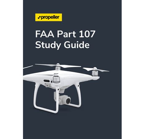 Faaa 107 Tutorial 的图像结果