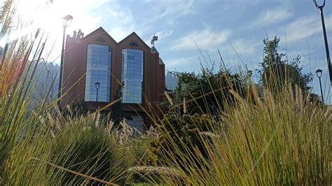 Canal 13 Programas 的图像结果