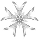 Apollo CSM 的图像结果