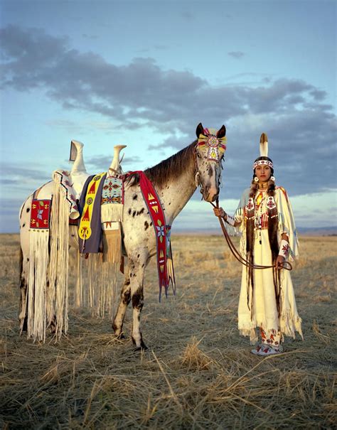 Horses Native To Where