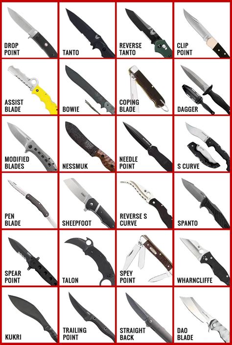 26 Knife Blade Types in 2020 (with Chart & Shape Explanations)