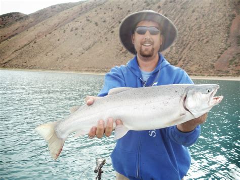 Virgin River Ut Fishing at Michael Tipping blog