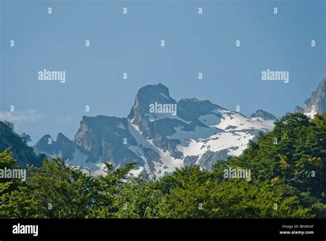 Image result for Alps Landscape