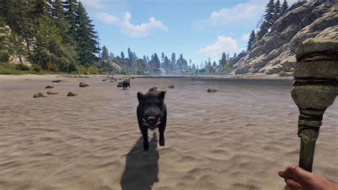 Image result for Rust Food