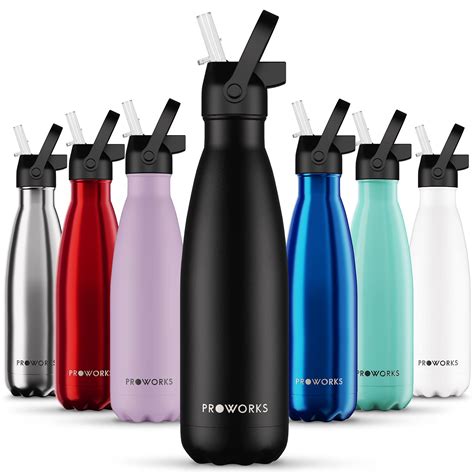 Buy Proworks Insulated Water Bottles With Straw, 500ml Metal Water ...