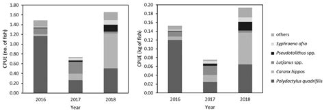 Can Fishing Tourism Contribute to Conservation and Sustainability via ...