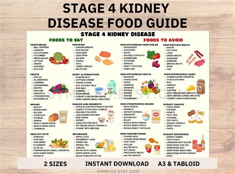 Stage 4 Kidney Disease Food List, Kidney Friendly Food List, Kidney Diet Foods Chart for Meal ...