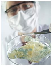 Image result for Jhon Mold Testing