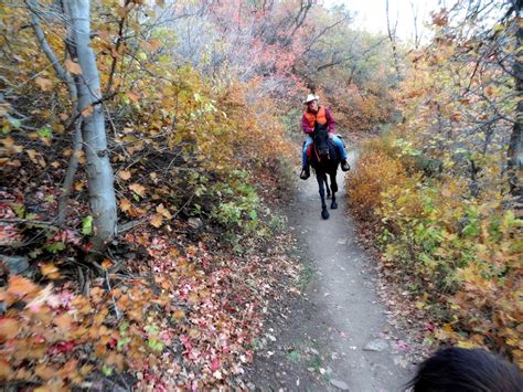 Dream Packer Trail Adventures: Mueller Park, Bountiful, Utah