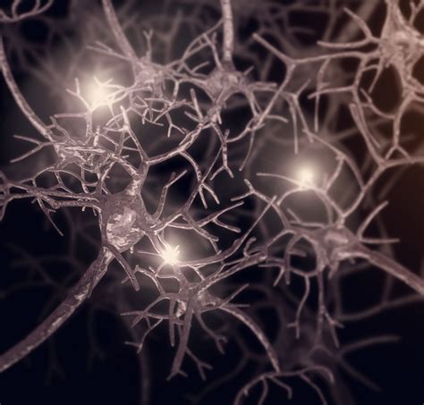 Key Alzheimer’s protein discovery sheds light on memory loss - Queensland Brain Institute ...
