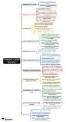Independence of Judiciary Constitutional Review Amendment Mind Map - UGC