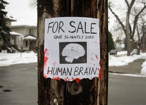 Image result for Fun Signs