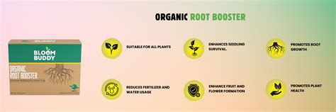 Bloom Buddy Root Booster with Rooting Hormone for Stronger Roots ...