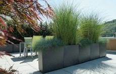 sichtschutz terrasse pflanzen die unterschiedlichen gr 228 ser trennen lounge und sichtschutz terrasse pflanzen die unterschiedlichen gr 228 ser trennen lounge und