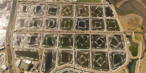 Simple Java Drown Farm 的图像结果