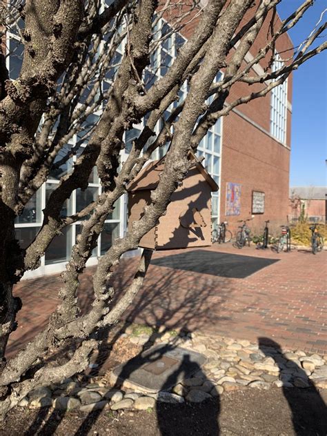 Image result for Pinhole Camera Cardboard