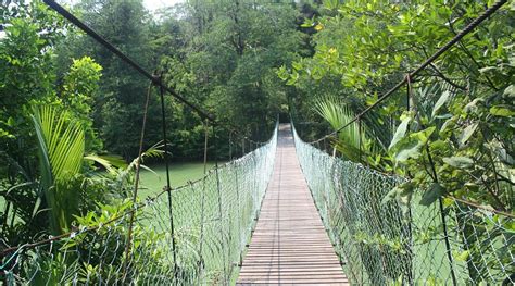 4ORTY INN (Bintulu, Sarawak) - Hotel Reviews, Photos, Rate Comparison ...