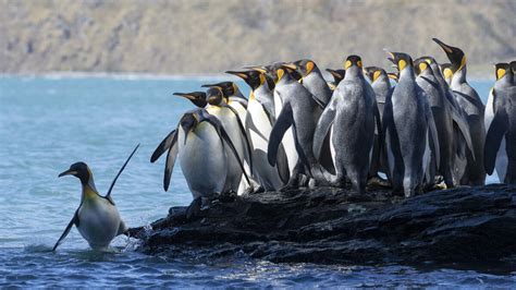 Image result for Science Centre IMAX