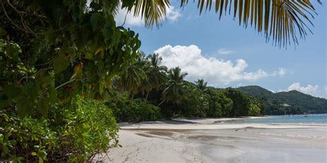 Beach "Anse St Sauveur" Praslin (Seychelles)