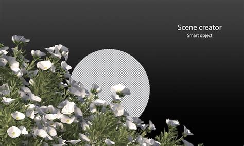 Variety of small plants isolated small plants clipping path | Premium PSD