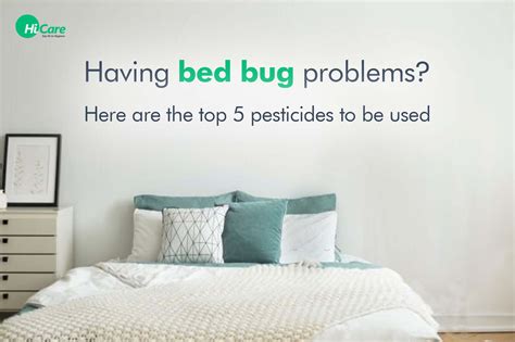 Top 5 Pesticides for Bed Bugs Treatment | HiCare – HiCare (A Rentokil ...