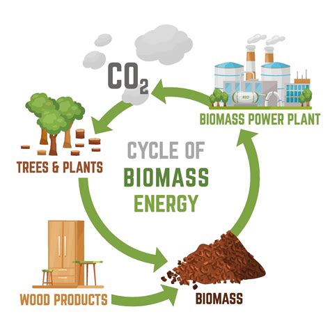 Biomass Energy Pros And Cons