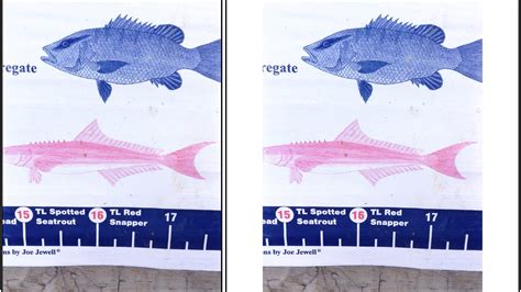 Camera Sensor Size Graph 的图像结果
