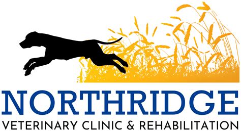 Payment Plans | Northridge Veterinary Clinic & Rehabilitation