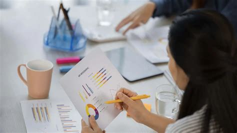 Image result for Accounts Class 11 Project File PDF