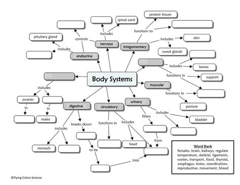 Image result for Science Vocabulary