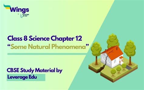 Image result for NCERT Science Class 8 Chapter 12 Book