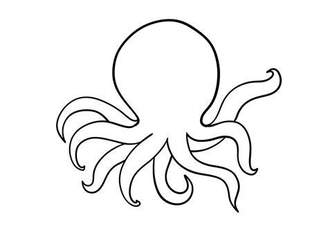 Octopus Software without Box 的图像结果