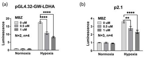 Mebendazole Treatment Disrupts the Transcriptional Activity of Hypoxia ...
