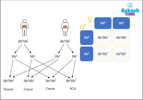 Mendelian Disorders in Biology: Definition, Types and Importance | AESL