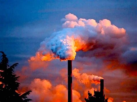 2024 में जलवायु परिवर्तन को लेकर क्या होंगी उम्मीदें? - Why 2024 can be ...