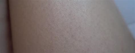 Skin 11 Unbound 1997 的图像结果