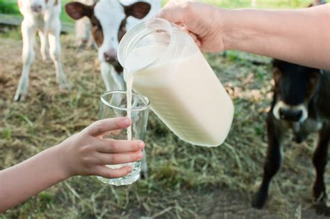 Pennsylvania Issues Raw Milk Warning After Contamination Discovery | Food Poisoning News