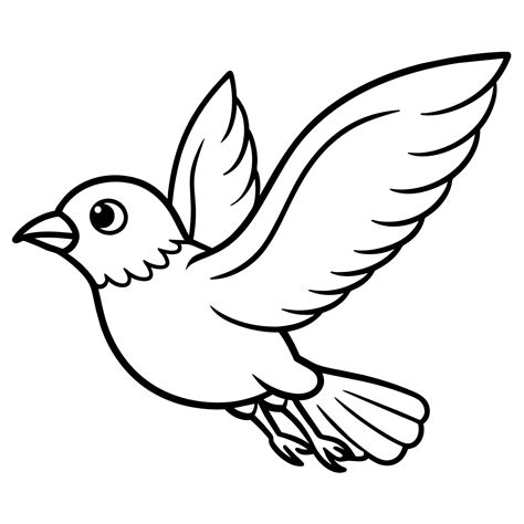 Bird Coloring book page hand draw illustration 43909133 Vector Art at Vecteezy