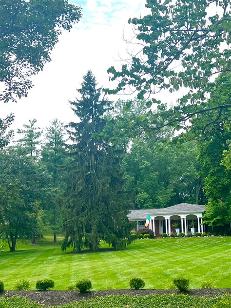 Gallery - St. Louis Lawn Care
