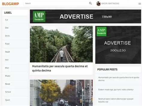 15 Best AMP Blogger Templates 2024 (SEO Friendly + Fast Loading)