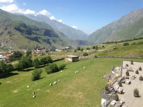 GOGI ALIBEGASHVILI GUESTHOUSE (Stepantsminda) - Guesthouse Reviews ...