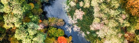 Gases & Application Technologies for Water Treatment | A Linde Company