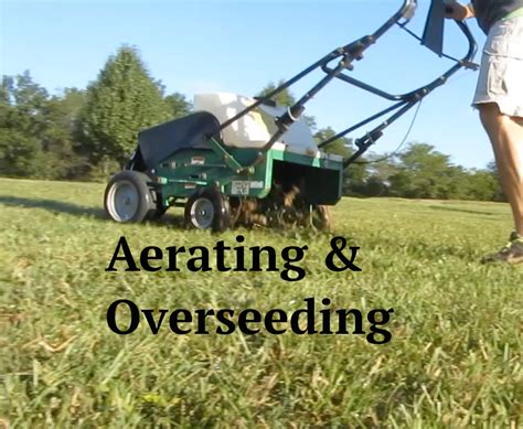 Best Time To Aerate And Overseed Lawn – How Does Your Garden Mow